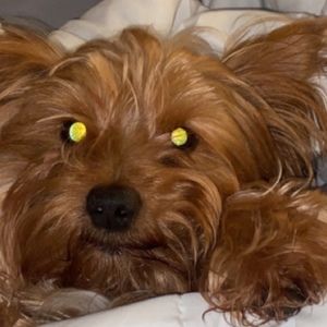 Meet your Posher, Kt